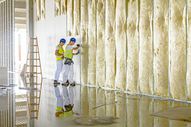 Best Types of Insulation in Largo, FL